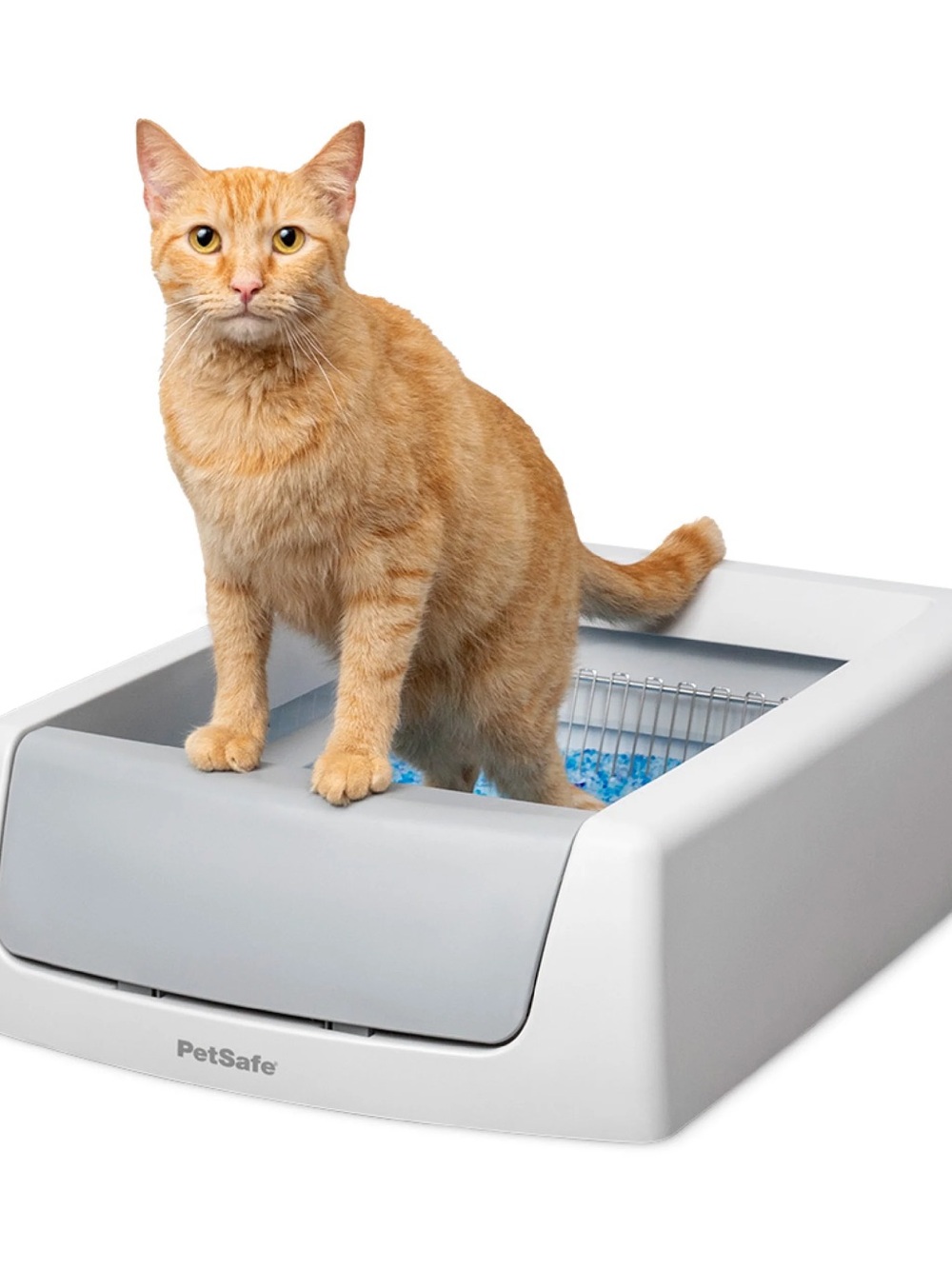 PetSafe Automated Cat Litter Box - White and Gray